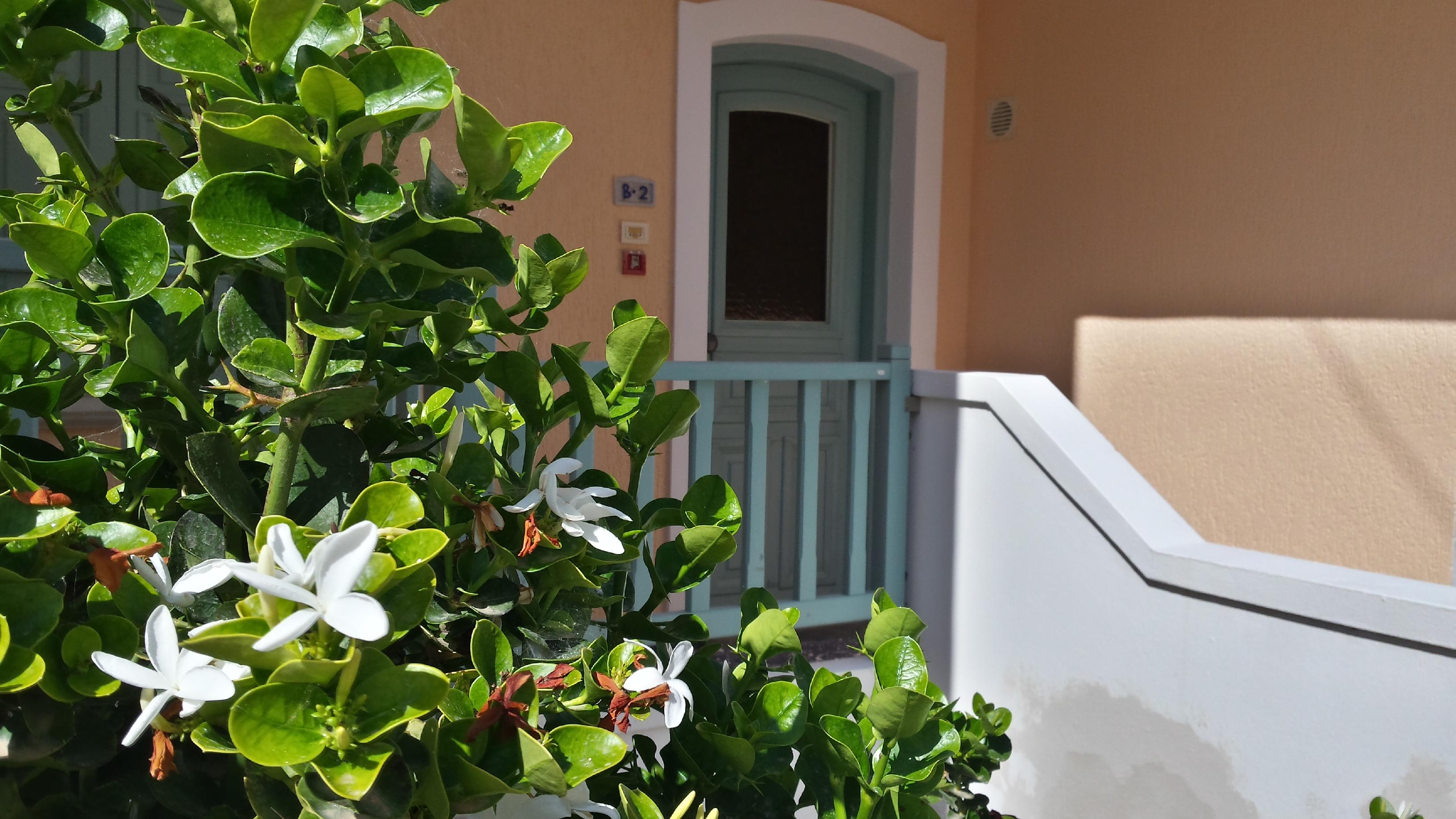 Amazones Village Suites Hersonissos  Exterior foto